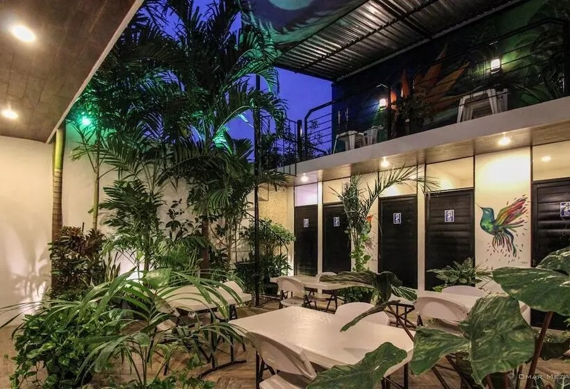 Hostal Gayser   Hostel