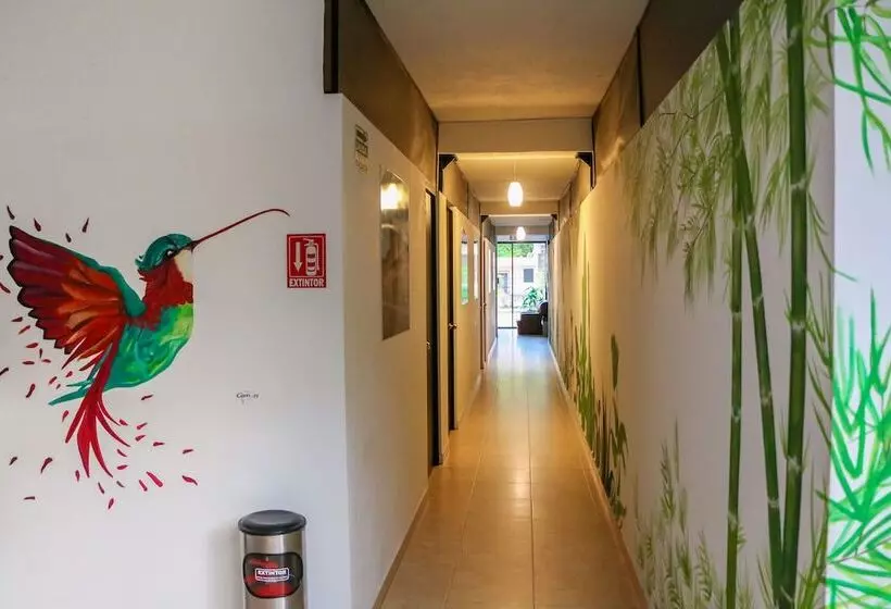 Hostal Gayser   Hostel
