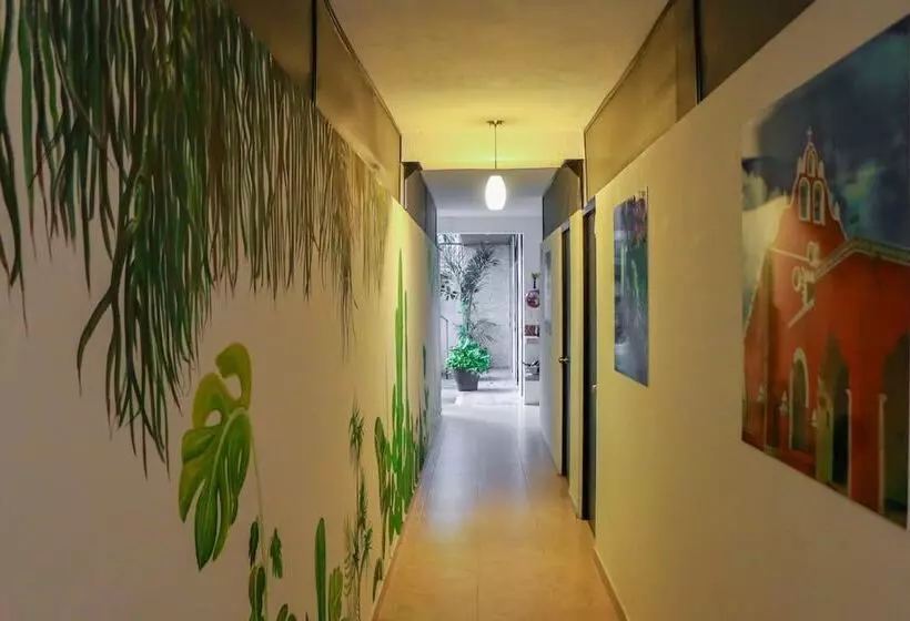 Hostal Gayser   Hostel
