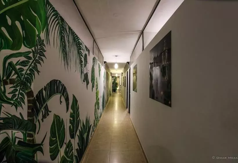 Hostal Gayser   Hostel