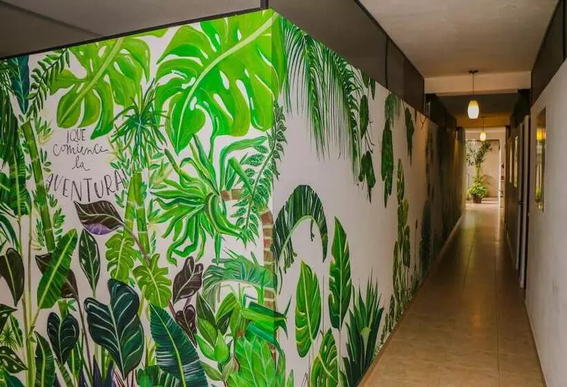 Hostal Gayser   Hostel