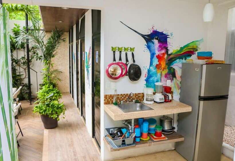 Hostal Gayser Hostel