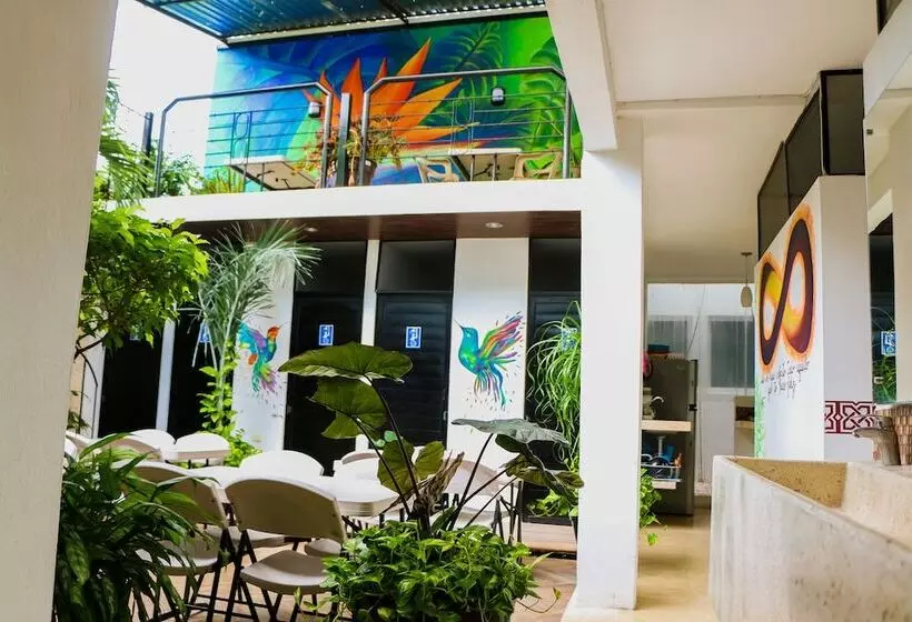 Hostal Gayser   Hostel