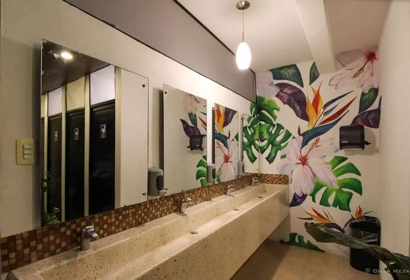Hostal Gayser   Hostel