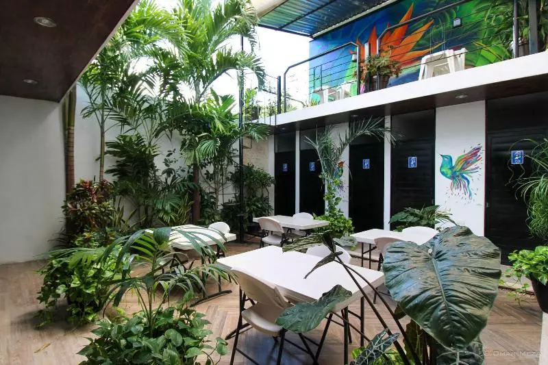 Hostal Gayser   Hostel