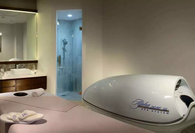 Hs Hotsson Hotel Irapuato