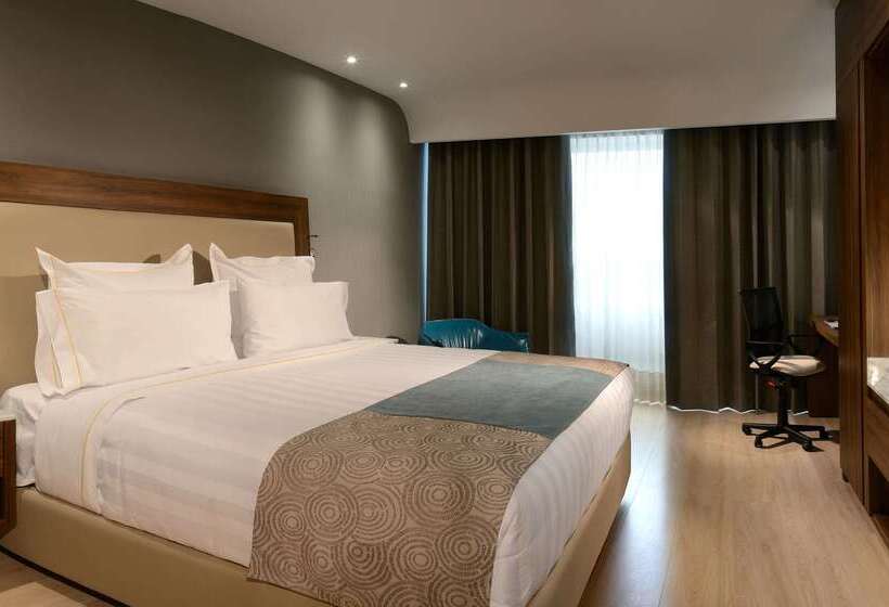 Hs Hotsson Hotel Irapuato