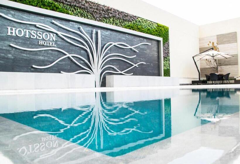Hs Hotsson Hotel Irapuato