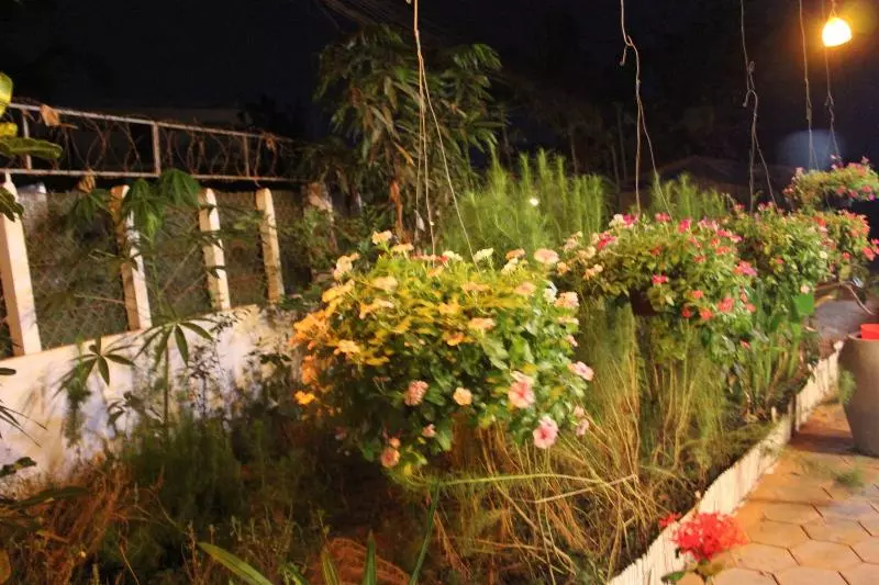 ユースホステル Eco Home Siem Reap Homestay