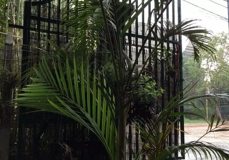 ユースホステル Eco Home Siem Reap Homestay