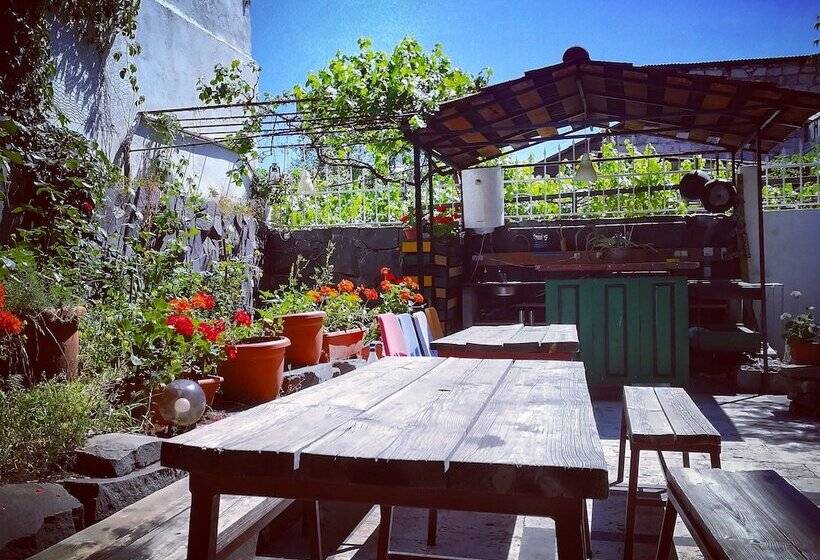 هاستل Jr S House