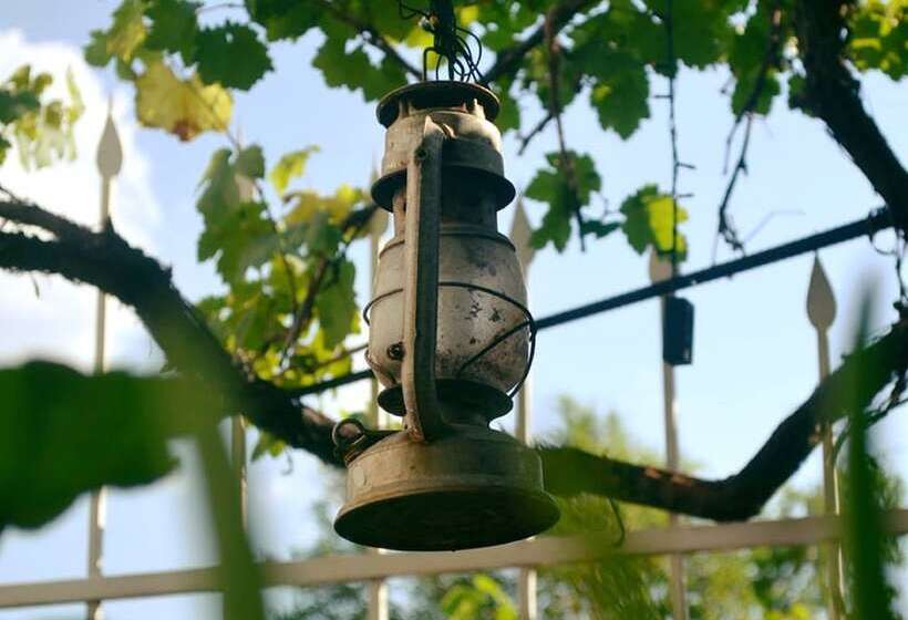 هاستل Jr S House