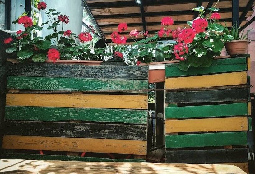 هاستل Jr S House