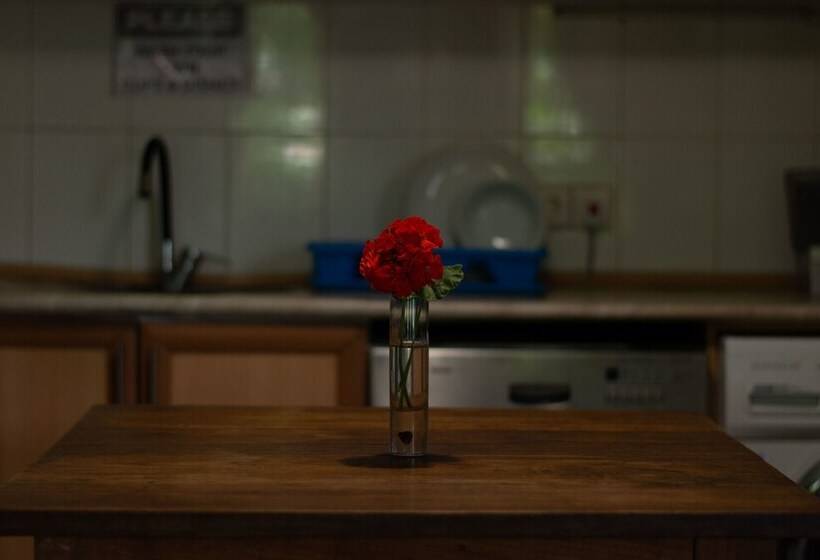 هاستل Jr S House