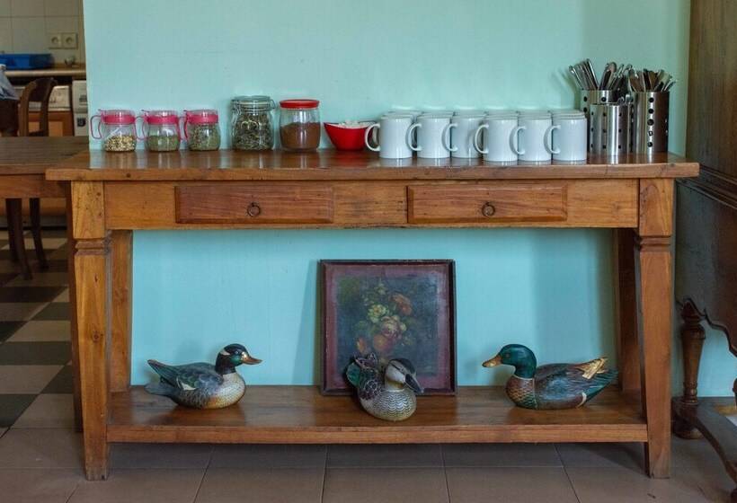 هاستل Jr S House