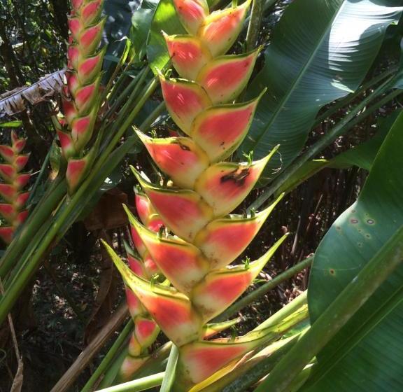 צימר Sun Creek Lodge