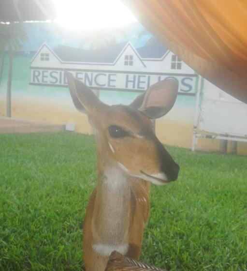 هتل Residence Helios