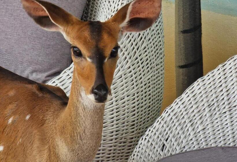 هتل Residence Helios