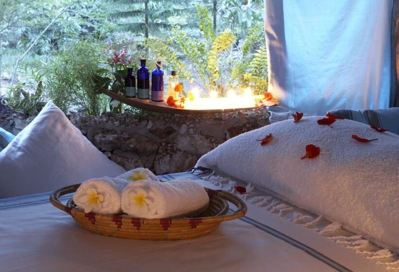 استراحتگاه Diani Blue