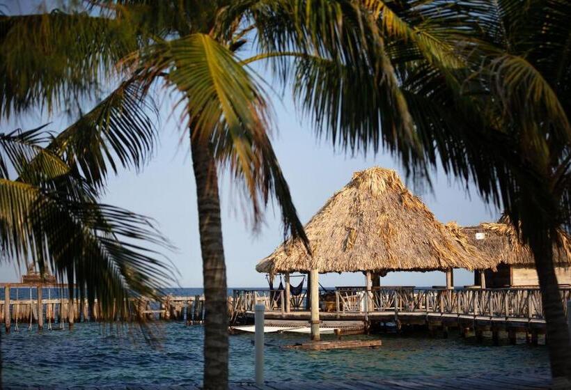 Thatch Caye Resort A Muy'ono Resort
