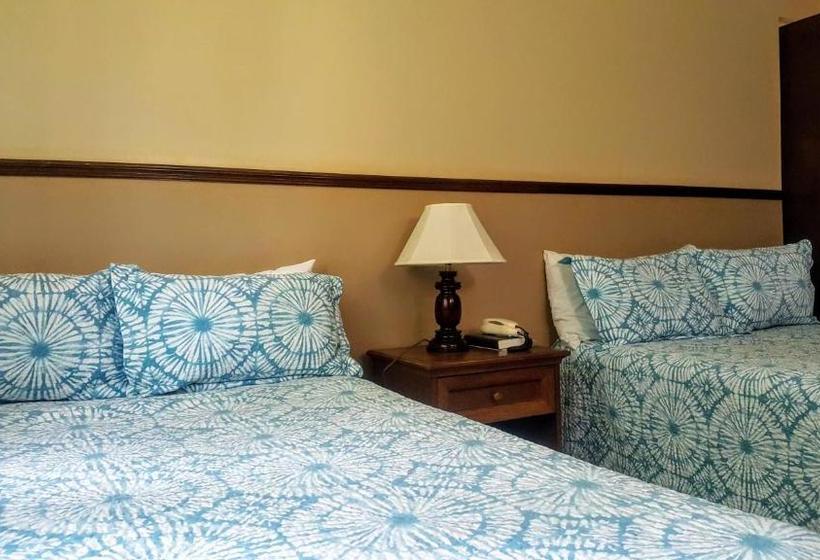 هتل The Mandeville   Manchester