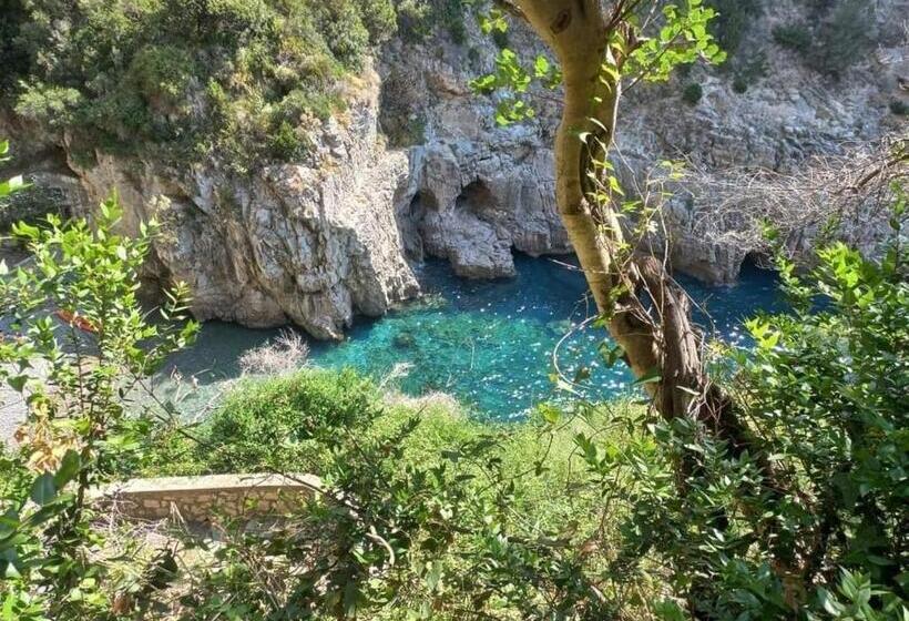 بنسيون La Casina Di Silvio