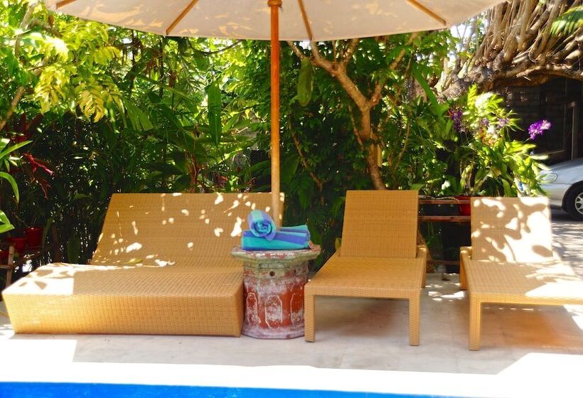 Aahh Bali Bed And Breakfast