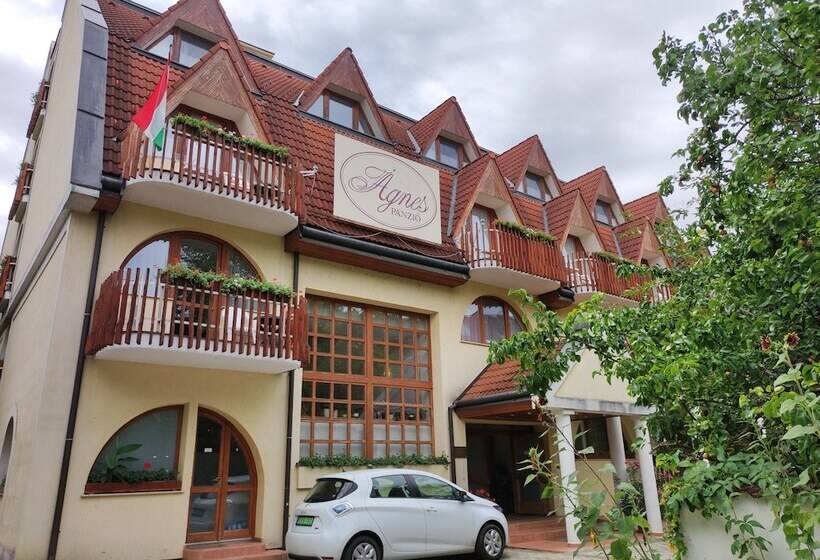 בית מלון כפרי ágnes