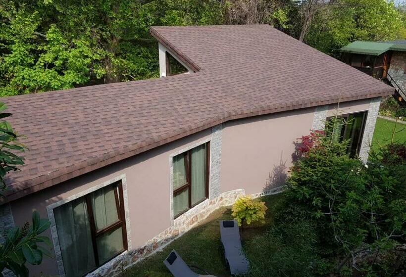 호텔 Guest Rooms Flirt