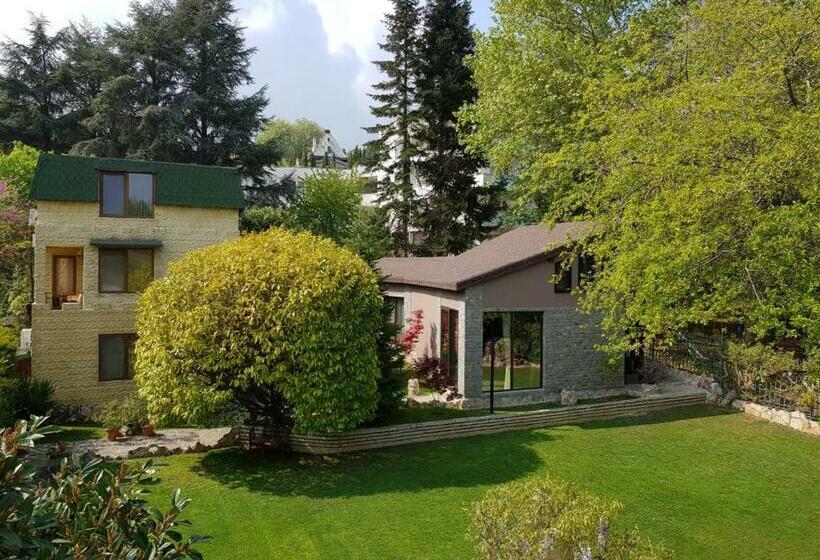 호텔 Guest Rooms Flirt