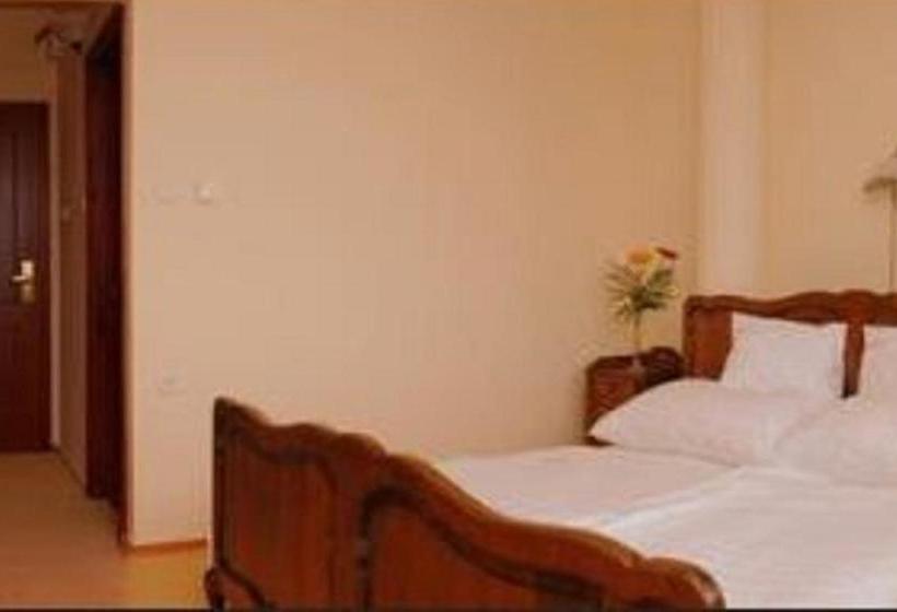 酒店 Kincsem Wellness