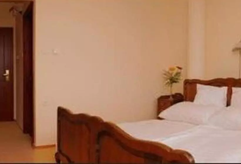 Hotelli Kincsem Wellness