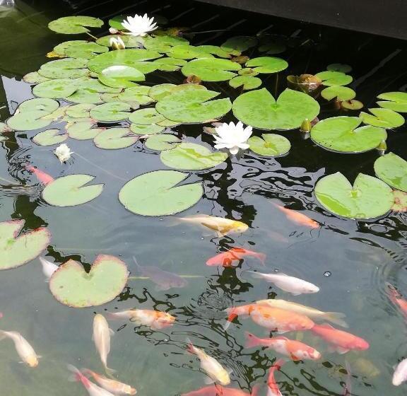 Отель Neon2 Vendégház