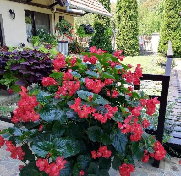 Отель Neon2 Vendégház