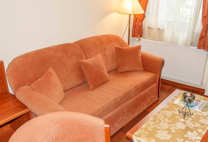 Pannon Hotel Bejelentkezés 20 óráig, Check In Until 20 O Clock, Einchecken Bis 20 Uhr