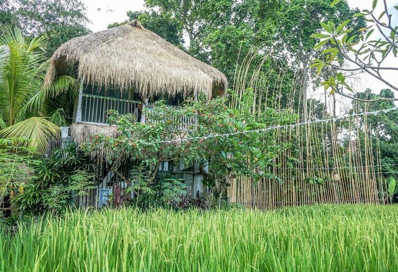 אתר נופש Kts Balinese Villas