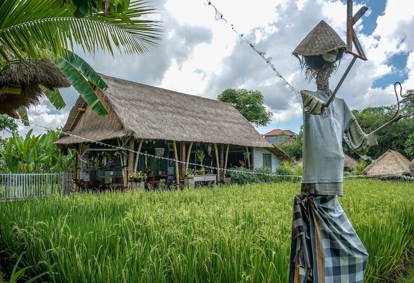 אתר נופש Kts Balinese Villas