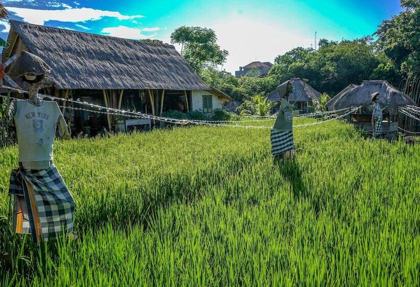 אתר נופש Kts Balinese Villas