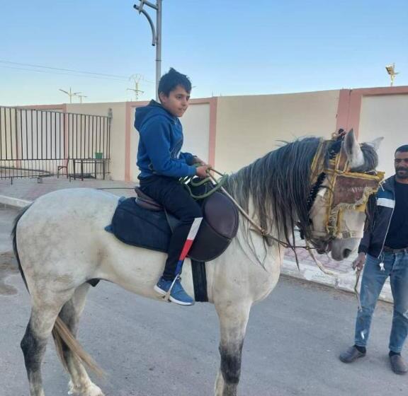 بيت الشباب 22 فبراير ورقلة