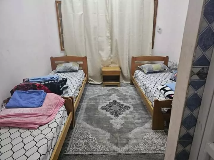 بيت الشباب 22 فبراير ورقلة