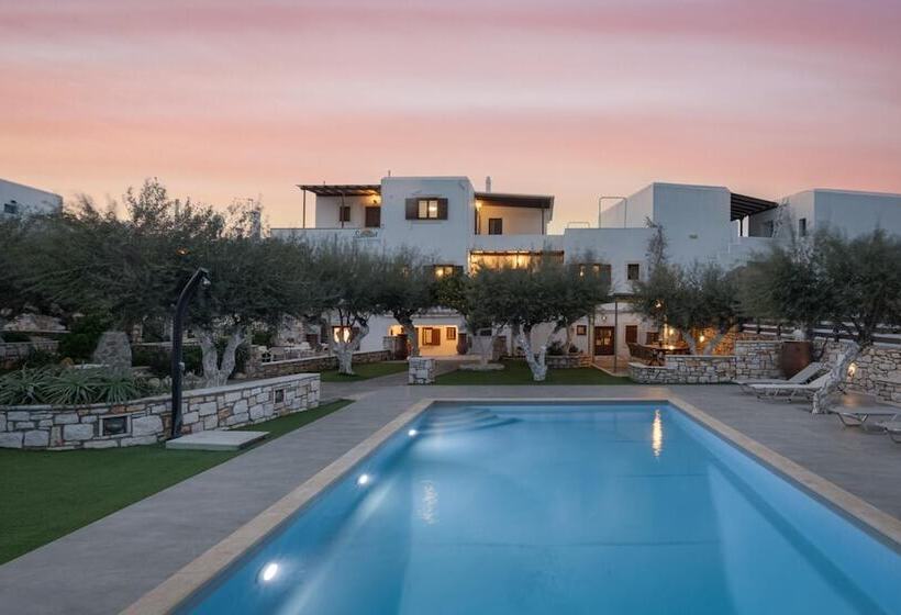 酒店 Sunset Paros Naousa