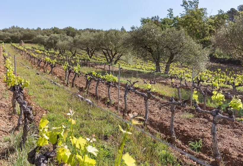 بنسيون Domaine Du Clos D Alari