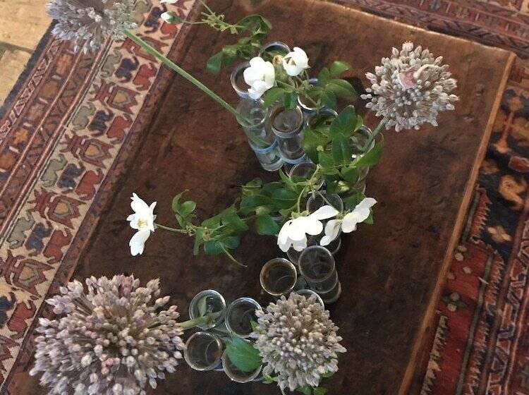 بنسيون Domaine Du Clos D Alari