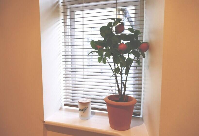 Immaculate 1 Bed Cottage In Moreton In Marsh