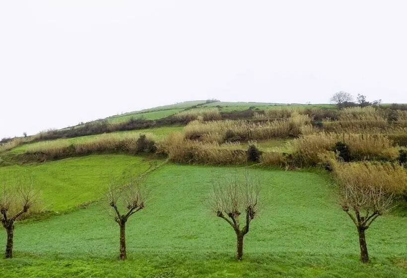 ペンション Dreamscape Villa