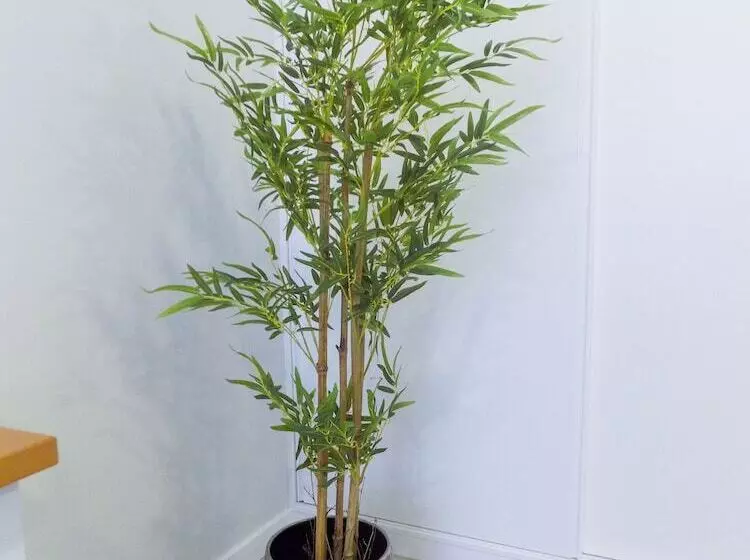 ペンション Dreamscape Villa