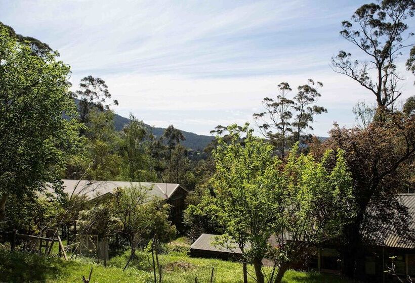 ベッドアンドブレックファースト Buttercup Hill