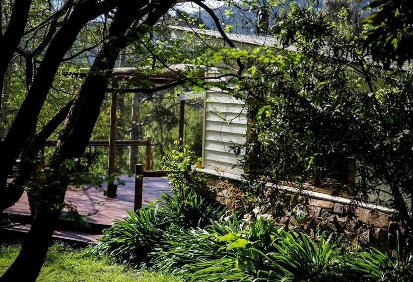 ベッドアンドブレックファースト Buttercup Hill