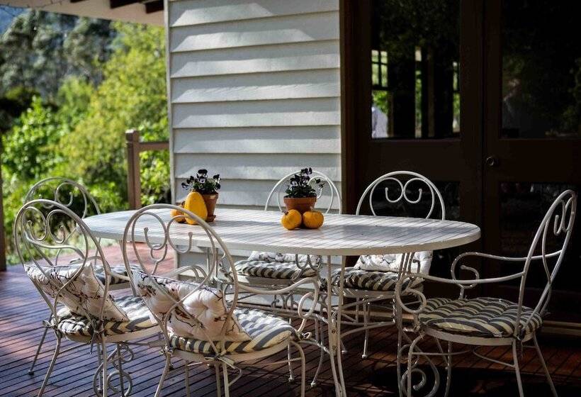 ベッドアンドブレックファースト Buttercup Hill