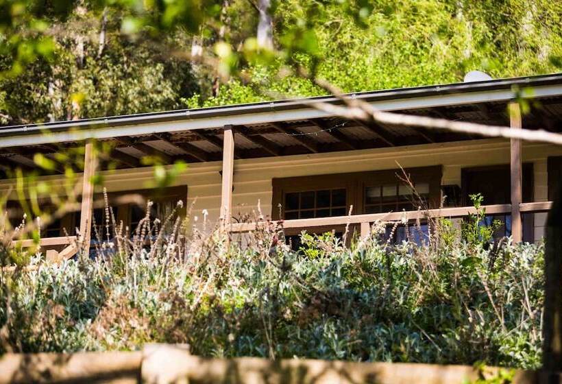 ベッドアンドブレックファースト Buttercup Hill